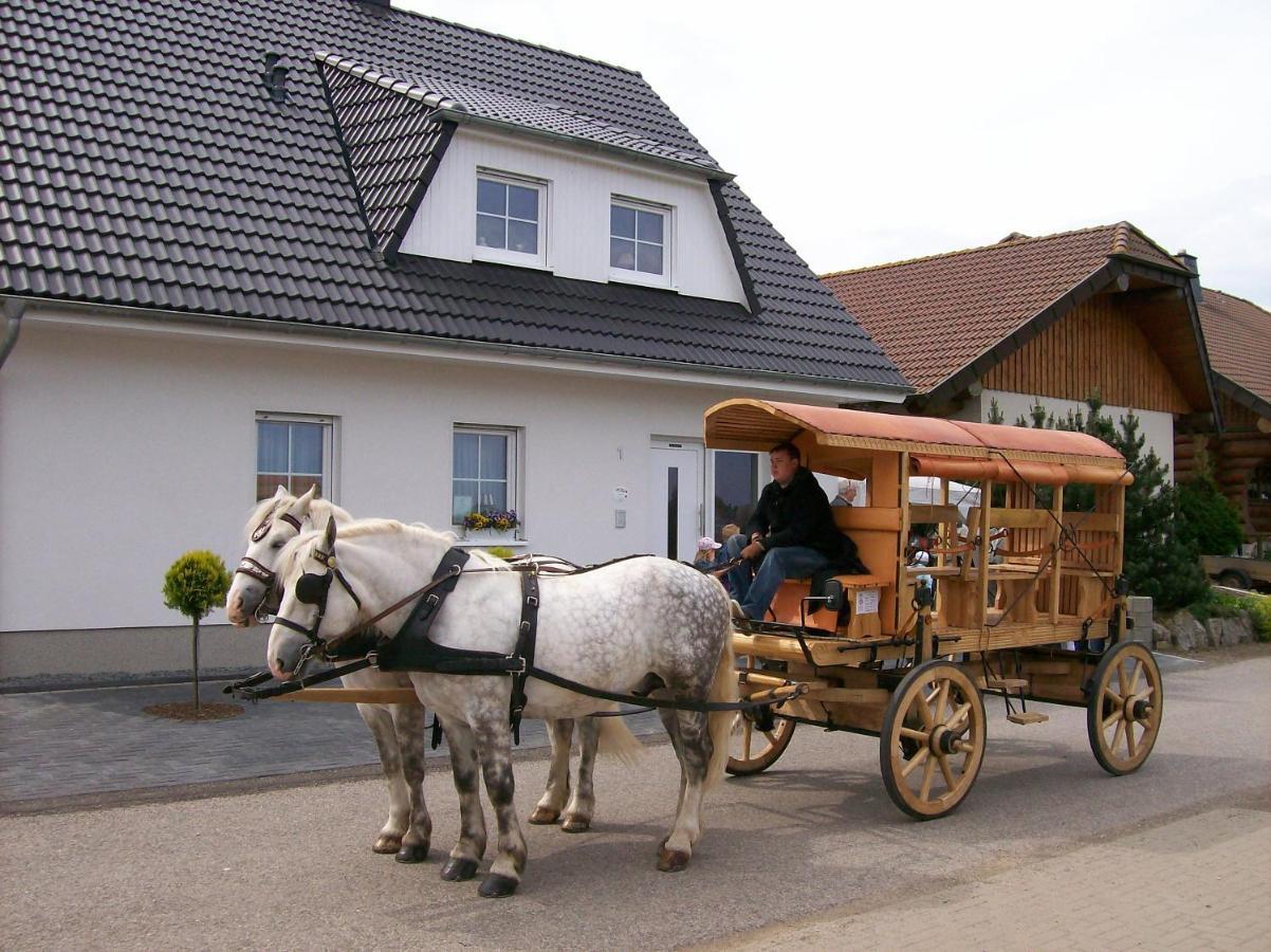 Gastehaus „Haus Am Hahnenberg“ Panzió Marmagen Kültér fotó